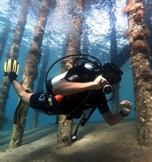 一个人拿着相机潜入水中