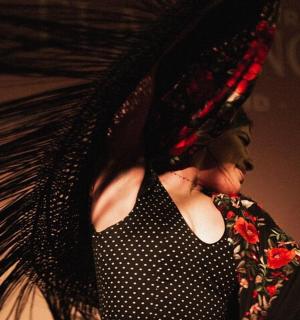 Admission to a Traditional Flamenco Show