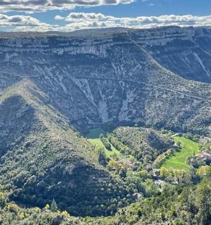 山谷与树木和山脉的鸟瞰图