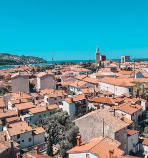 橙色屋顶的小镇景色