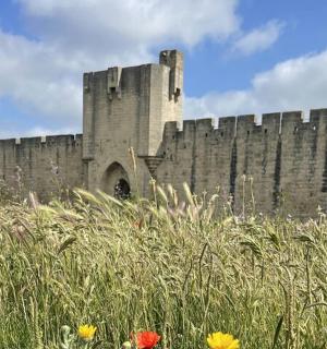 一座有着高石墙的大城堡