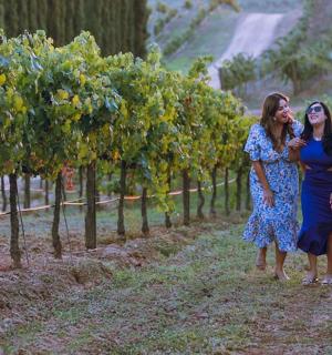 two women walking through a grape vineyard