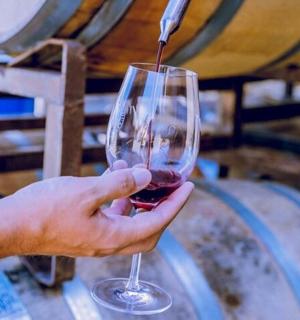 一个人拿着一杯酒