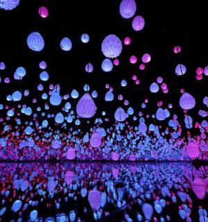 一大群人带着粉色和紫色的灯光