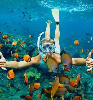 a man in a snorkel and mask swimming in the ocean with fish