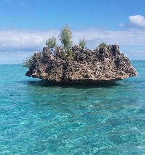 海洋中央的一个小岛