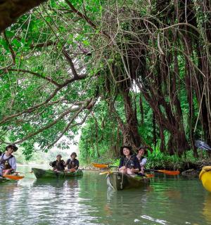 a group of people kayaking down a river in canoes
