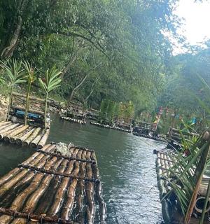 two boats are docked on a river with trees