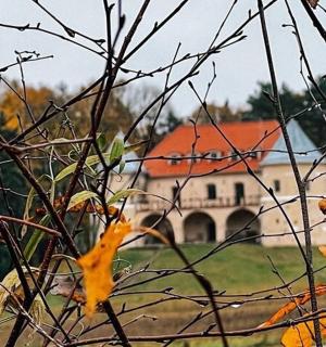 a house in the background with a tree branch