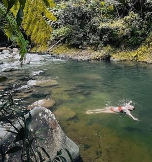 在丛林河里游泳的人