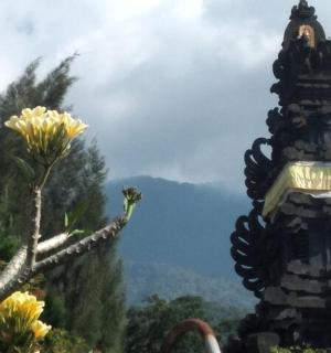 bangunan dan pokok dengan bunga di latar depan