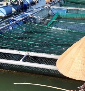 水中船上戴着帽子的人