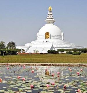 a pond with flowers in front of a large building