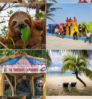 度假村与树懒的照片拼贴画