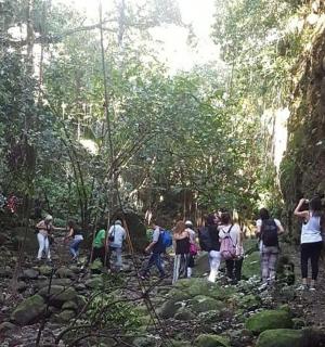 hópur fólks sem gengur yfir læk í skógi