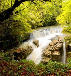 树木繁茂的河流中间的瀑布