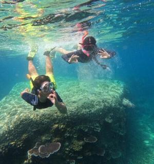 两个人拿着相机在水中游泳