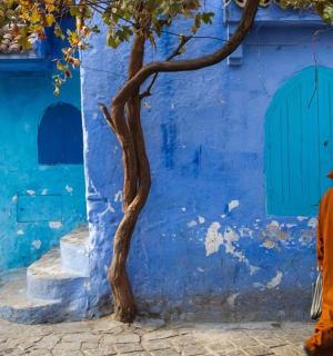 一个人走过一栋有树的蓝色建筑