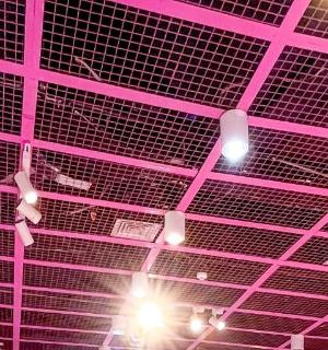 房间里有紫色的天花板和灯光