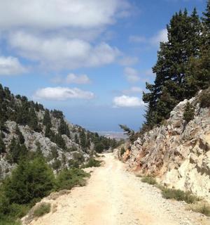 prašná cesta se stromy na úbočí hory