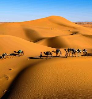 一群人带着骆驼在沙漠中行走