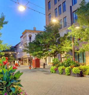 miesto gatvė su gėlėmis, pastatais ir medžiais