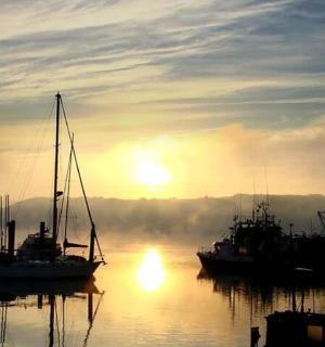 a group of boats docked in the water at sunset