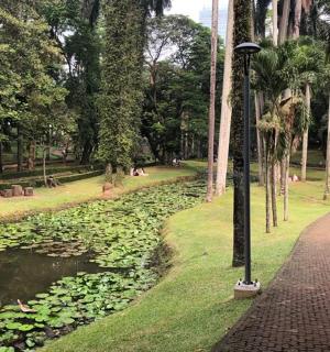 a path in a park next to a pond with lilies