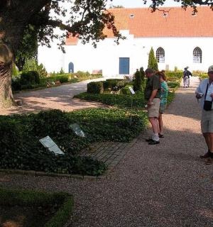 一群人沿着公园的小路散步