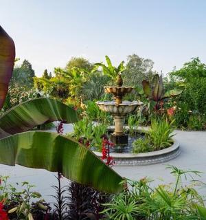 花园中央的喷泉