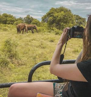 一名女子正在田野里给两头大象拍照