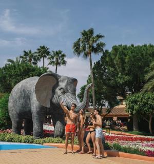 a group of people standing in front of an elephant