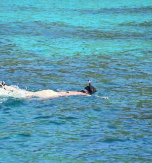 一名男子仰面躺在水中