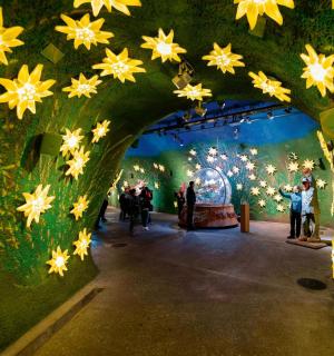 一群人站在一条有鲜花的隧道里