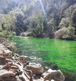 一条绿水河，有一些岩石和树木
