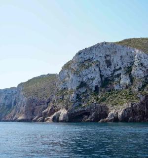 水中央的岩石岛