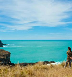 一个人站在山上望着大海