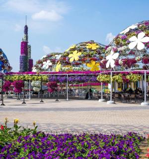 公园里一组带花的圆顶