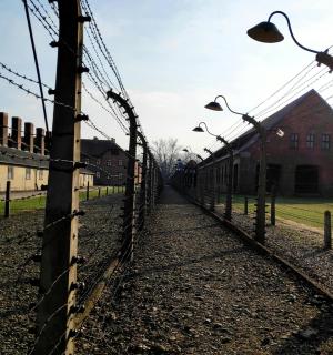 带有路灯的铁丝网和建筑物