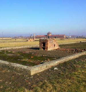 田野中间的一堵砖墙