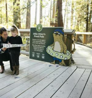 一名女子站在桥上的标志牌旁边