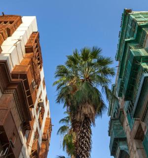 palma mezi dvěma vysokými budovami