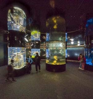 a group of people standing in a room with aquariums