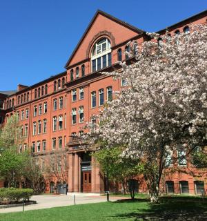 一座大型砖砌建筑，前面有一棵开花的树