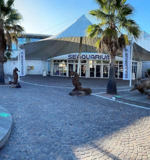 一群腐烂的动物坐在一栋建筑物前