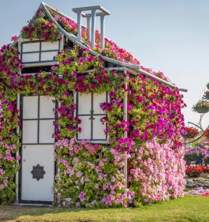 花园里鲜花盛开的房子