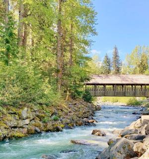 森林旁边的河上的一座桥