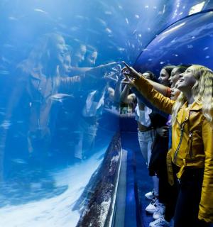 a group of people looking at a woman in an aquarium