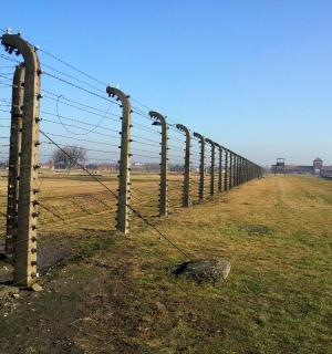 田野里的铁丝网