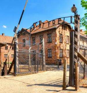 Full-day Auschwitz-Birkenau Memorial Tour from Krakow